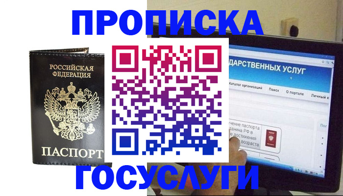 прописка гарантия в Дмитрове